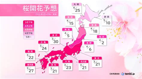 開花|2024年桜開花予想（第2回） 全国的に平年並みか早い。